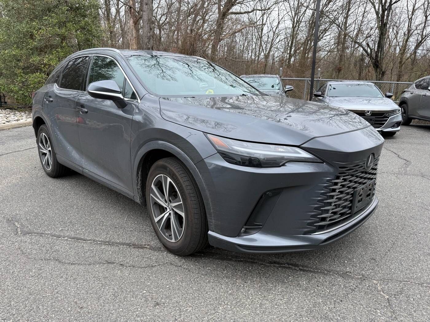 2025 LEXUS RX