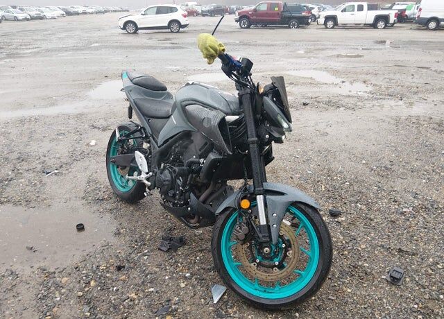 2023 YAMAHA MTN320