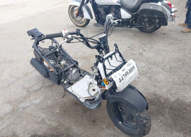 2011 HONDA NPS50