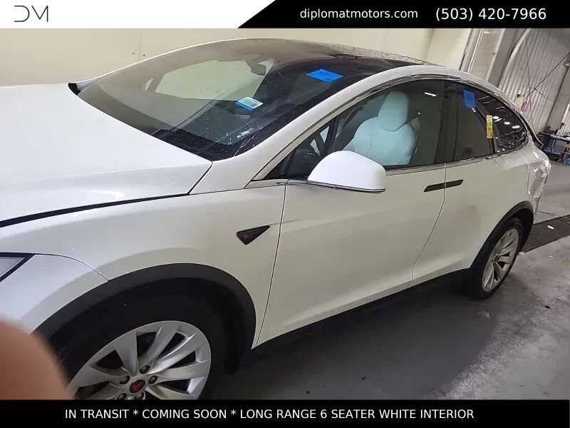 2019 TESLA Model X