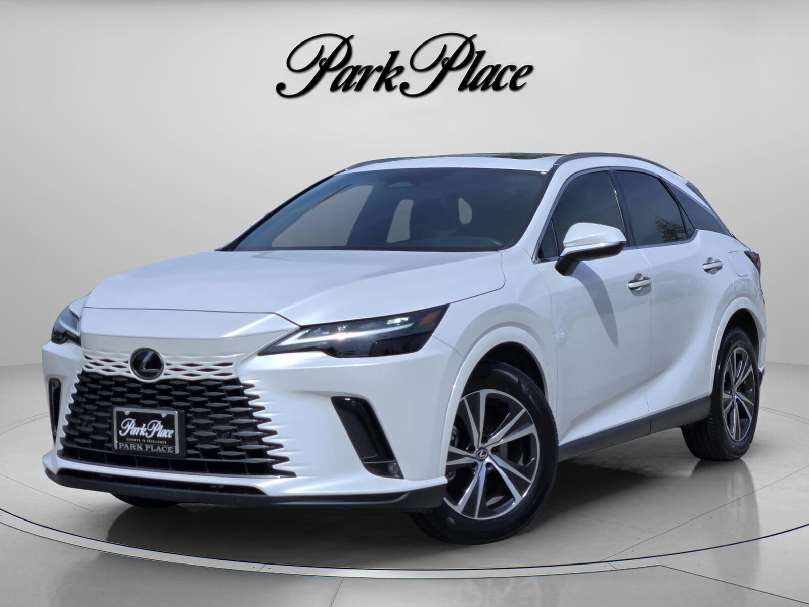 2023 LEXUS RX
