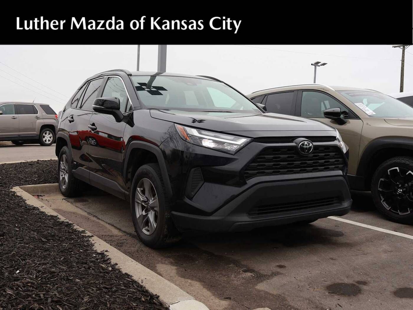 2025 TOYOTA RAV4