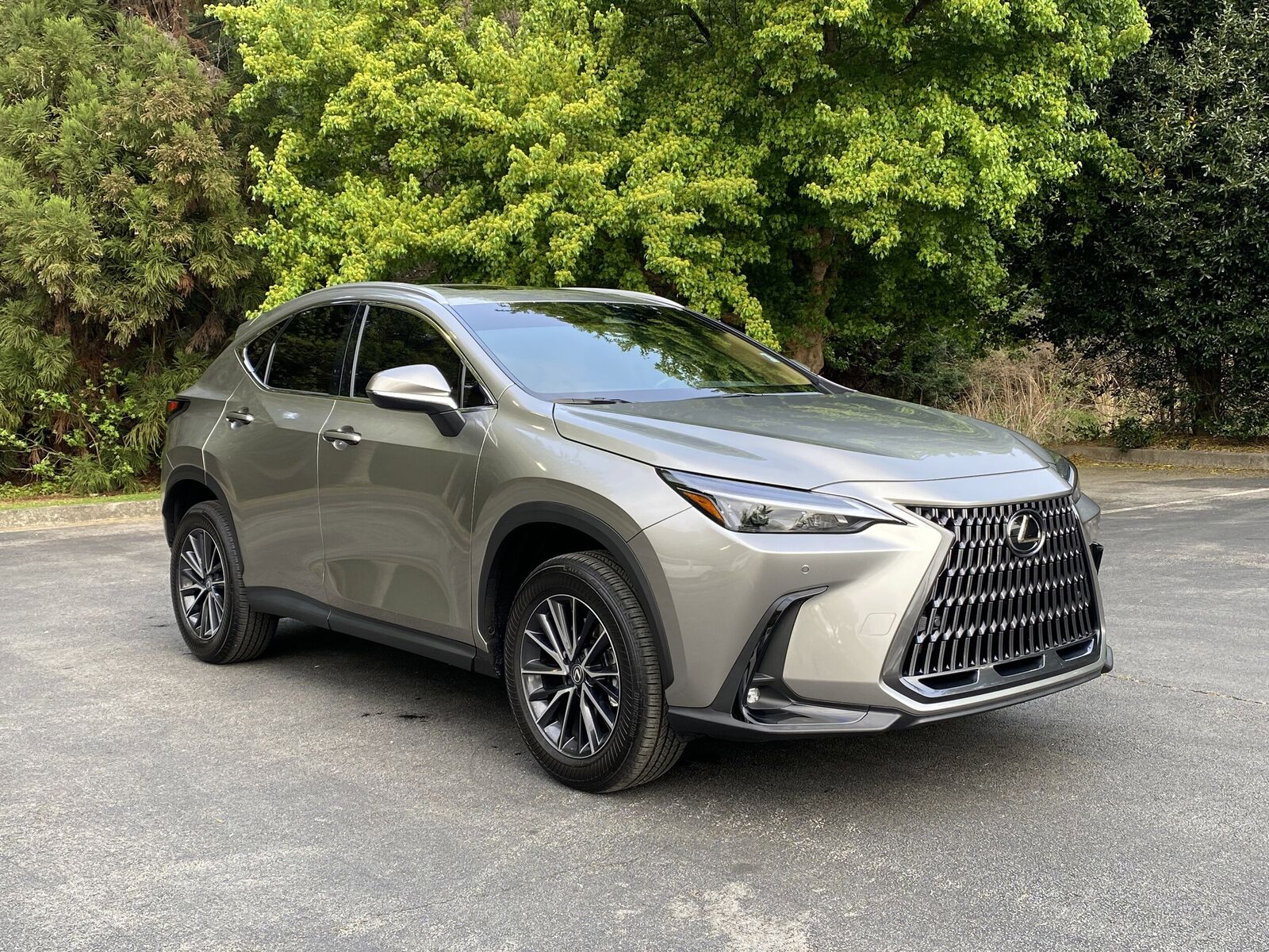 2024 LEXUS NX