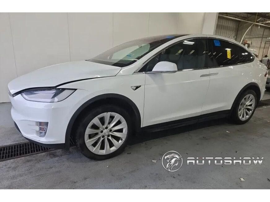 2019 TESLA Model X