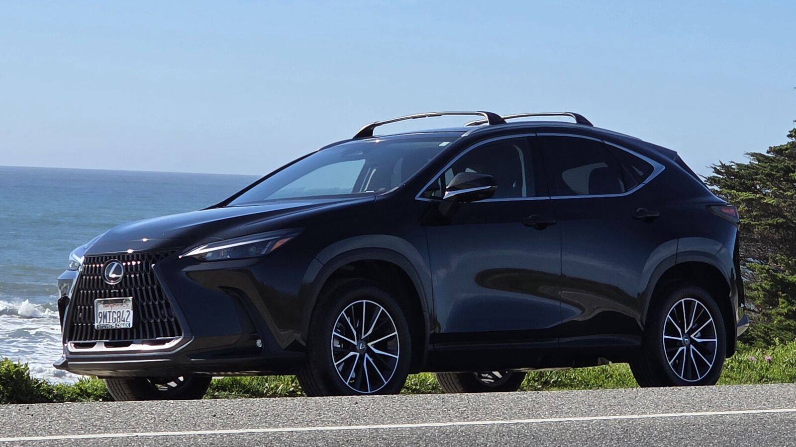 2024 LEXUS NX