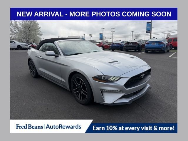 2019 FORD Mustang