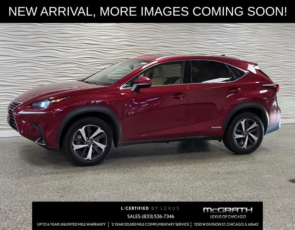 2020 LEXUS NX