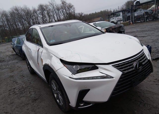 2019 LEXUS NX