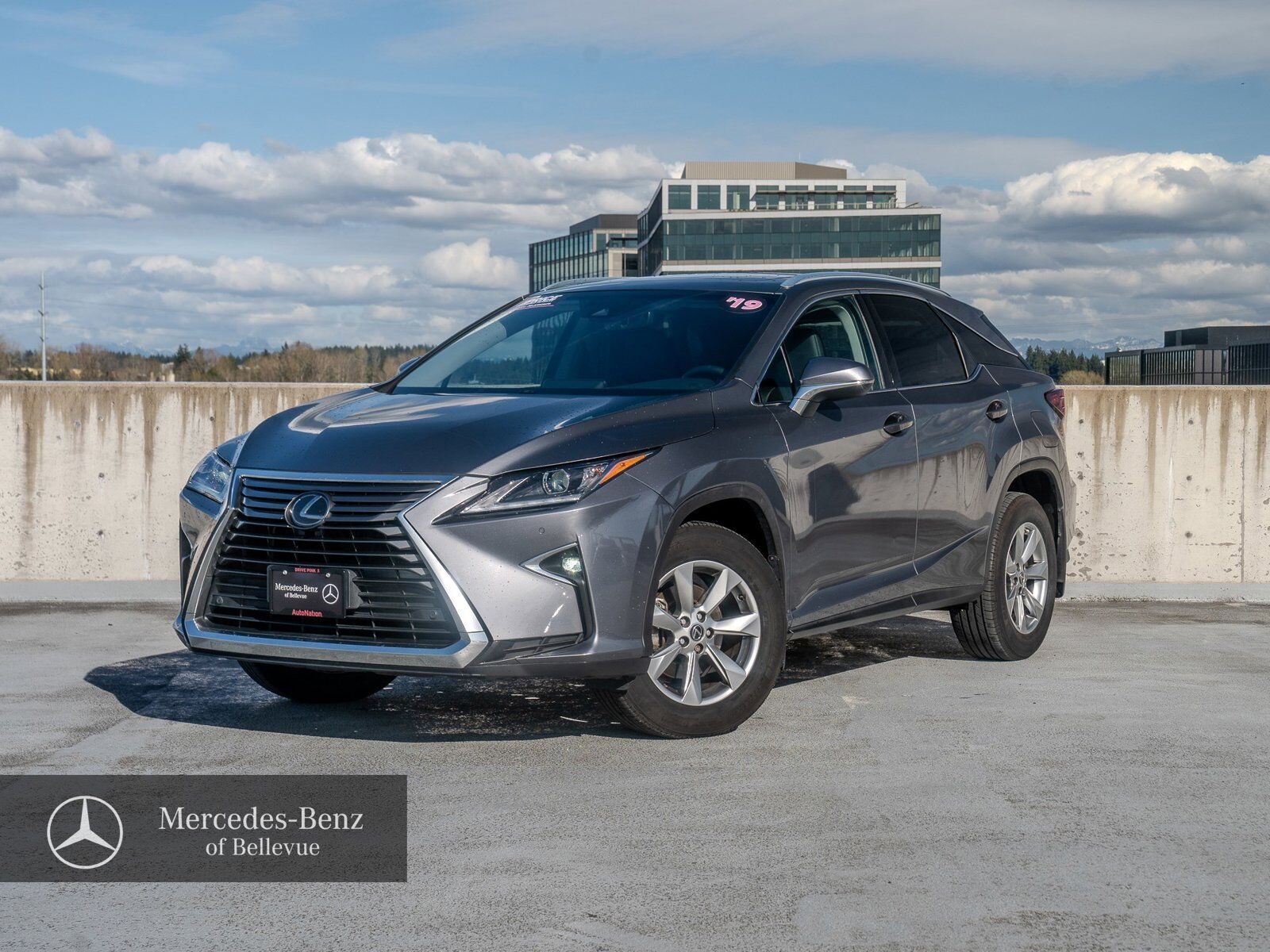 2019 LEXUS RX