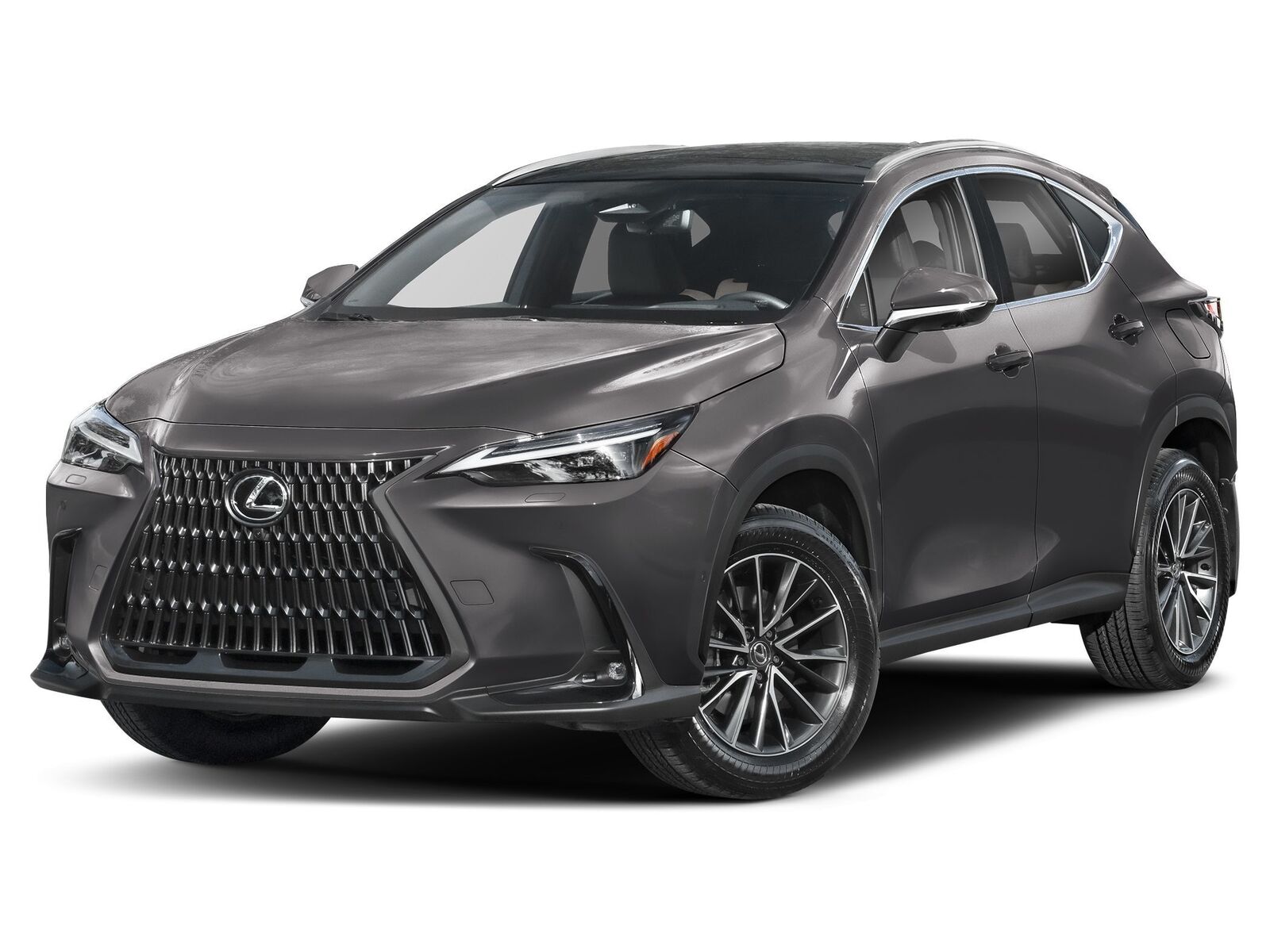 2026 LEXUS NX