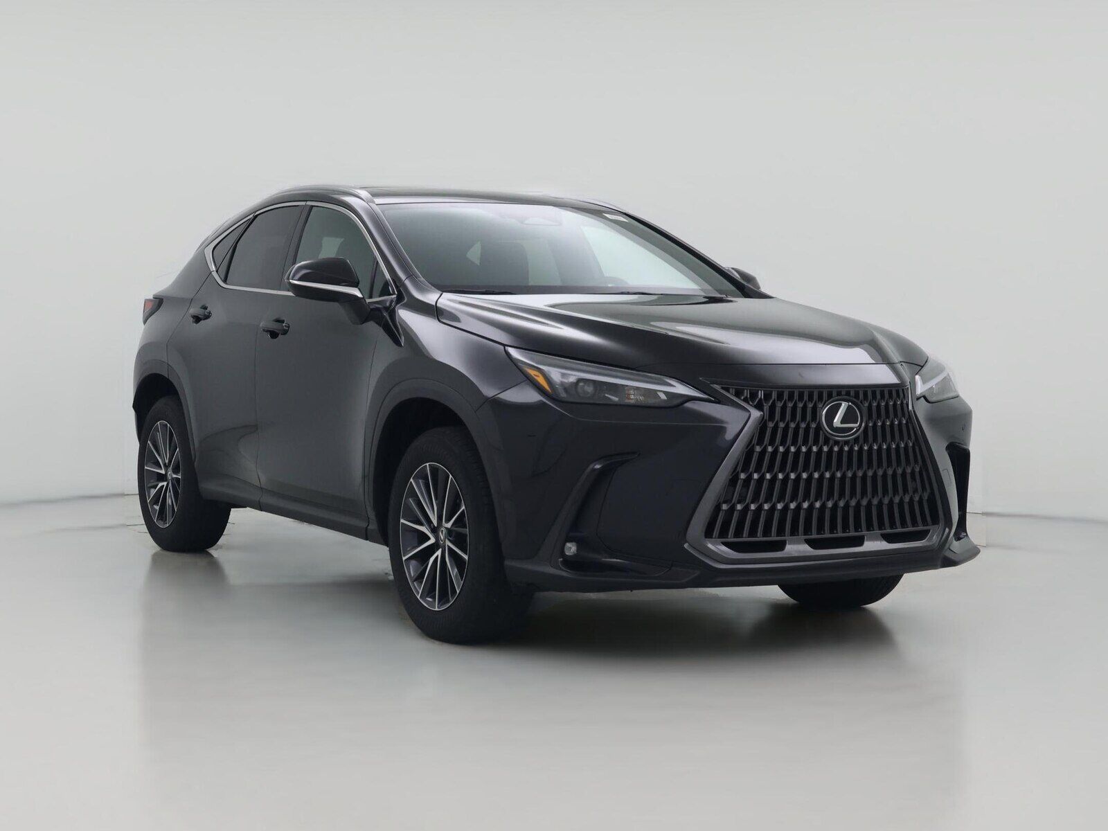 2024 LEXUS NX