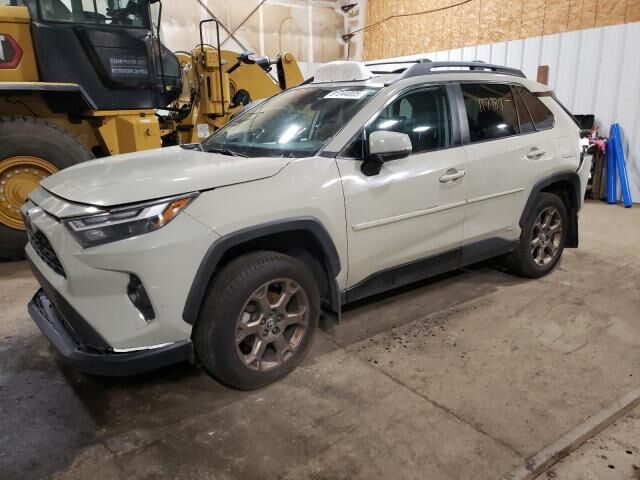2023 TOYOTA RAV4
