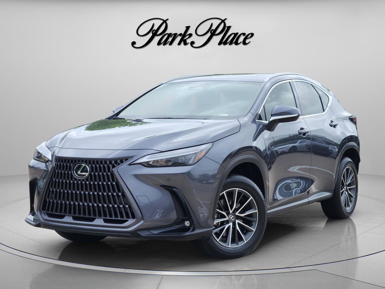 2024 LEXUS NX