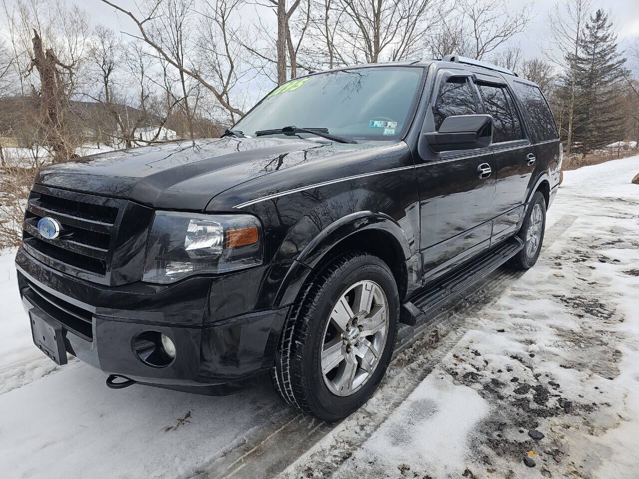 2009 FORD Expedition