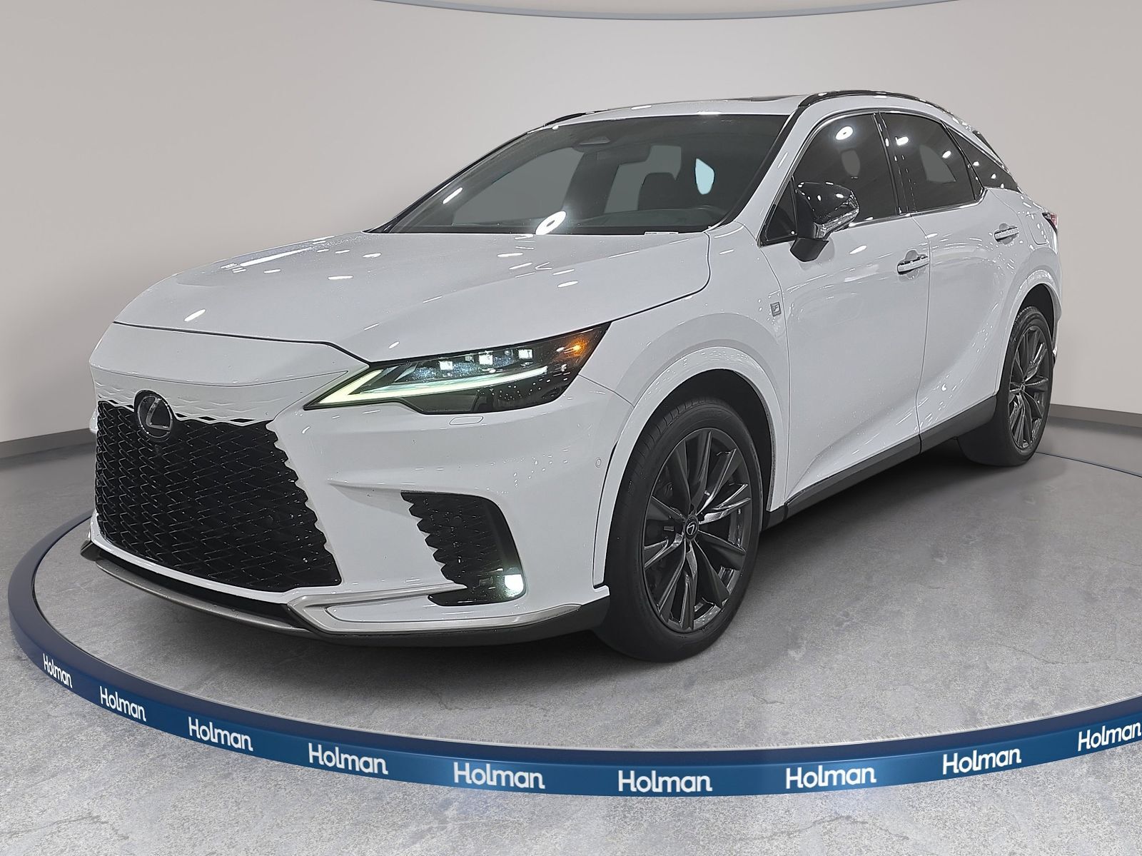 2024 LEXUS RX