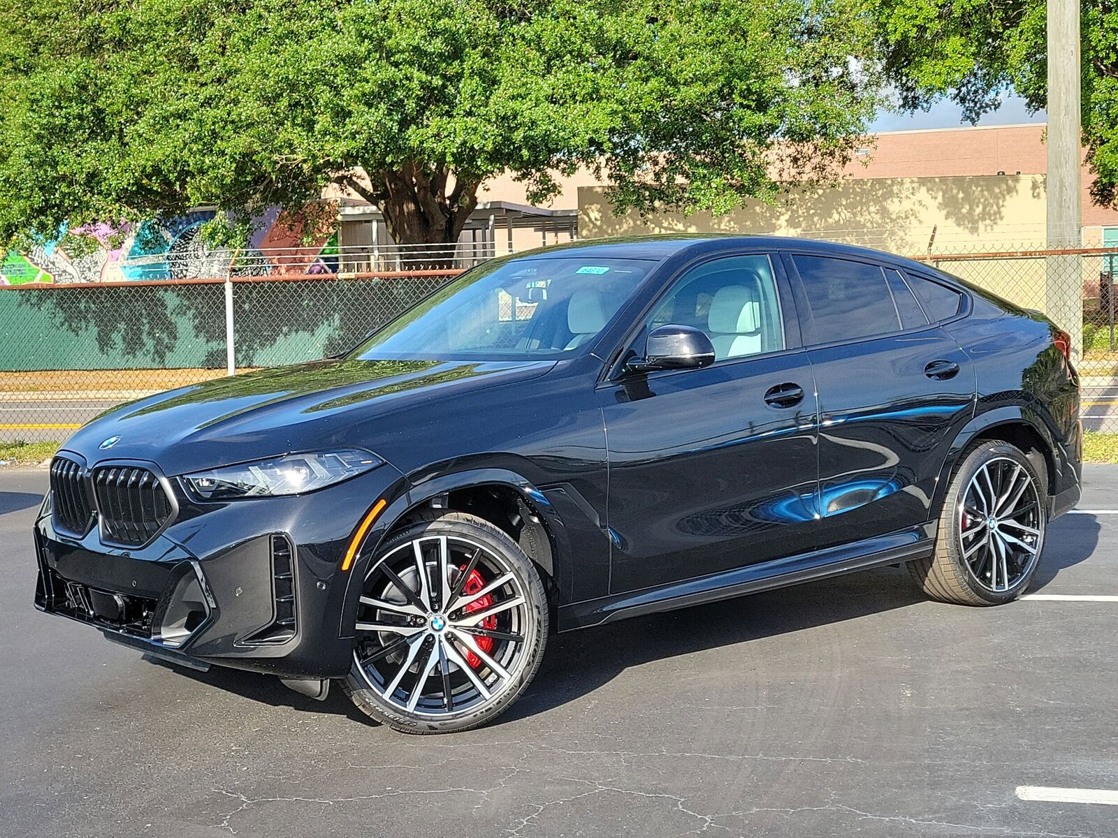 2026 BMW X6
