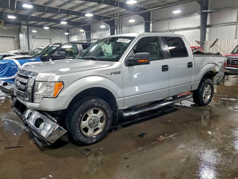 2010 FORD F-150