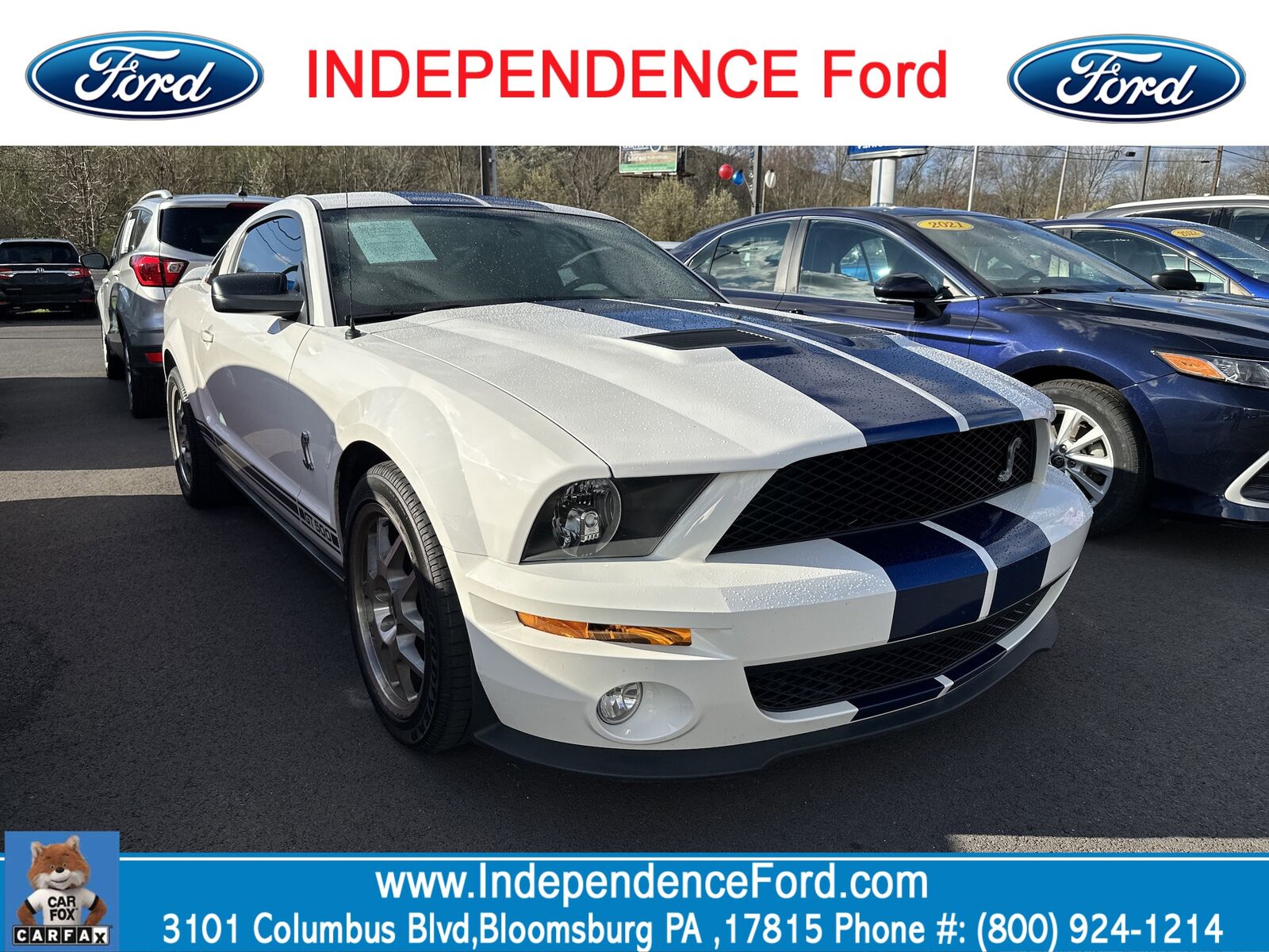 2008 FORD Mustang