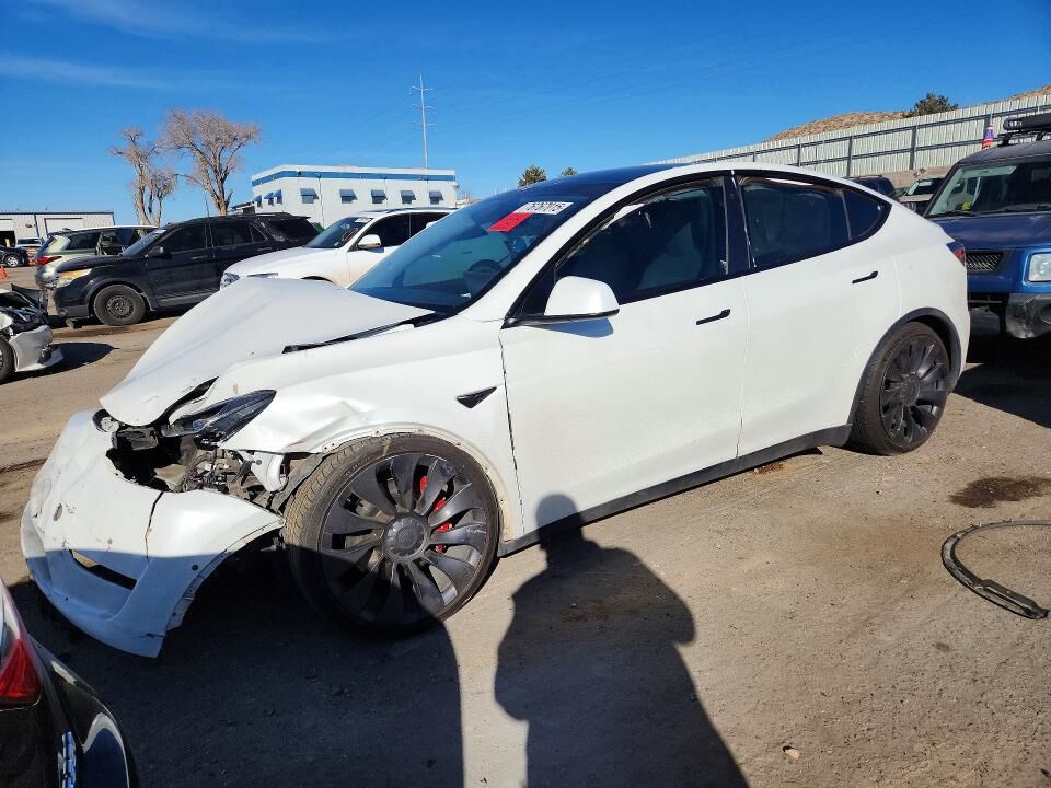2020 TESLA Model Y
