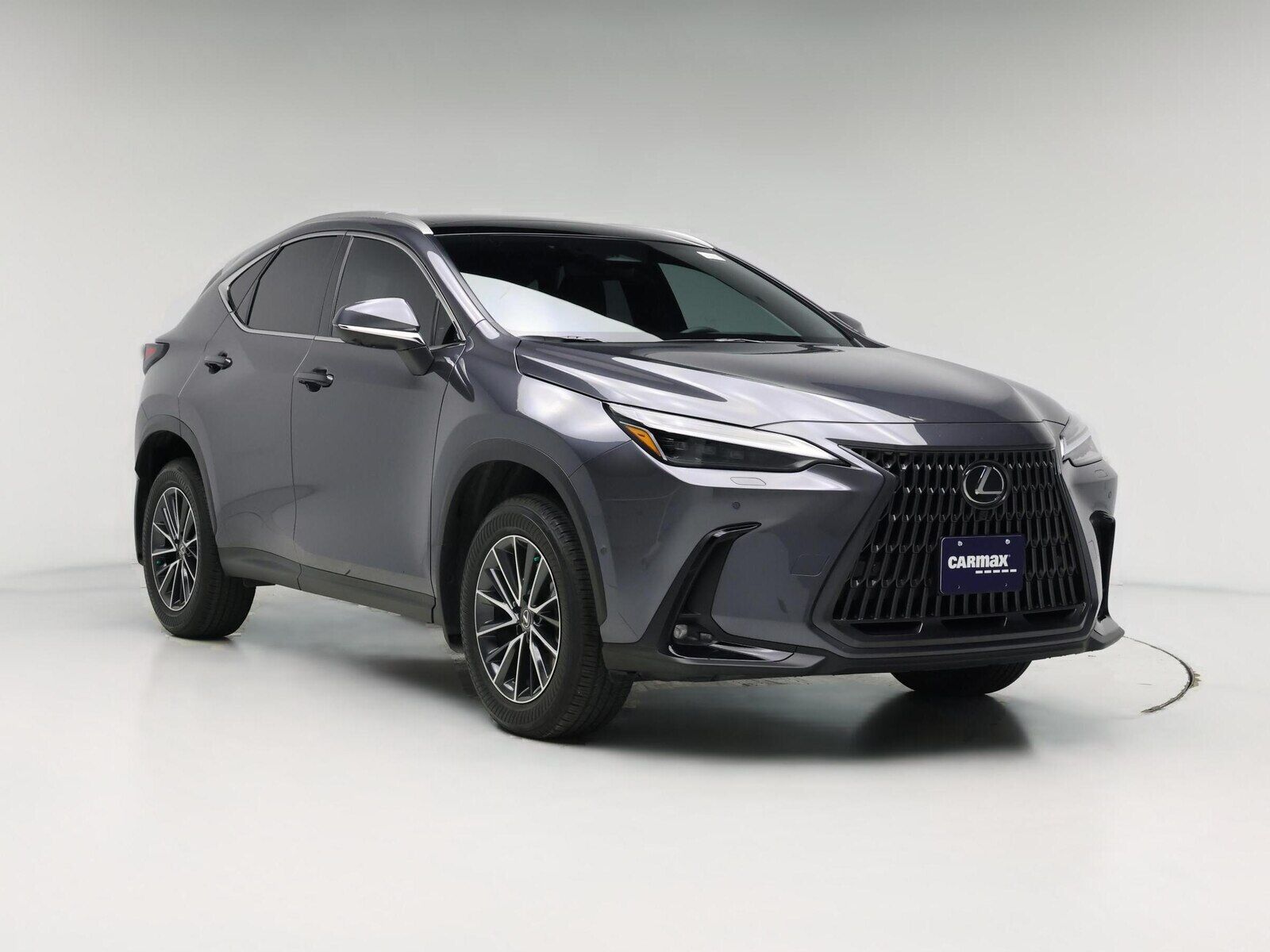 2025 LEXUS NX