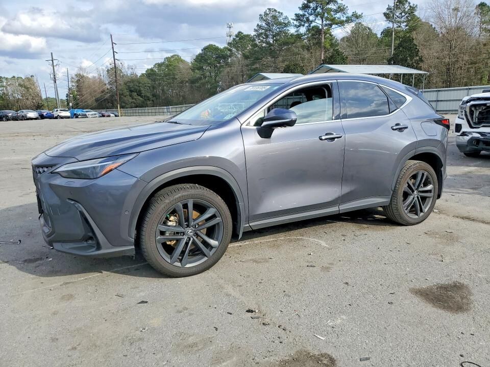2024 LEXUS NX