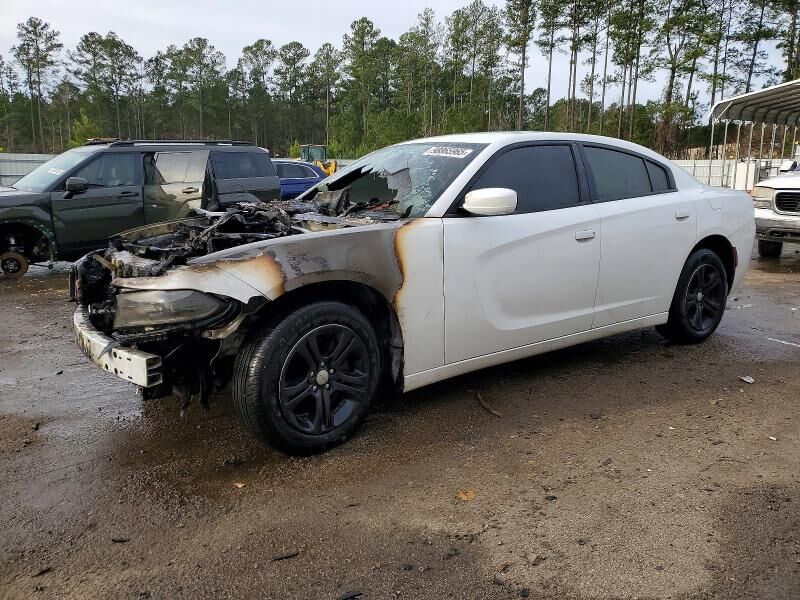 2019 DODGE Charger