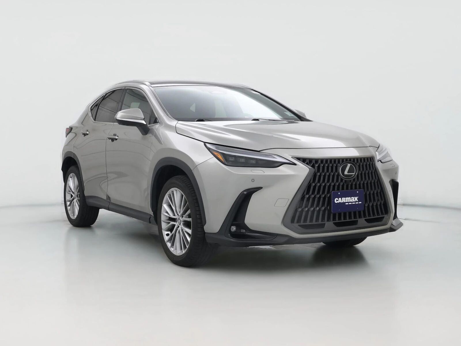 2024 LEXUS NX