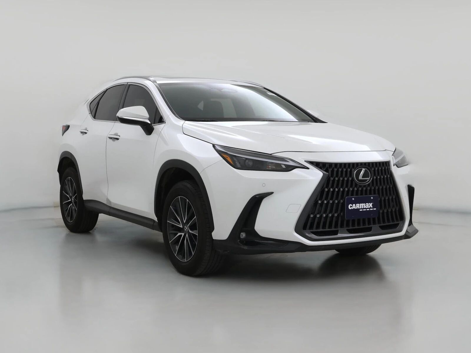 2024 LEXUS NX