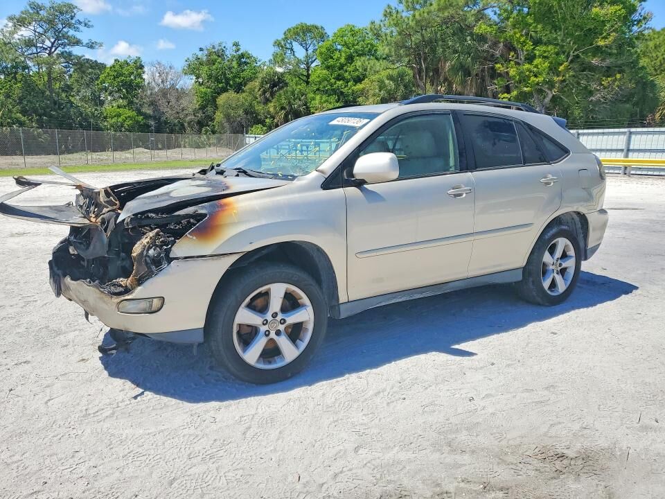 2007 LEXUS RX
