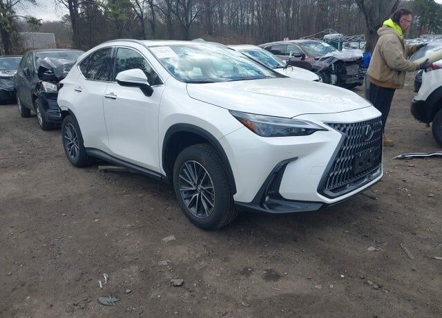 2025 LEXUS NX