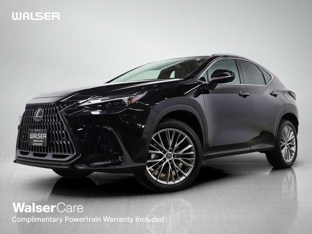 2024 LEXUS NX