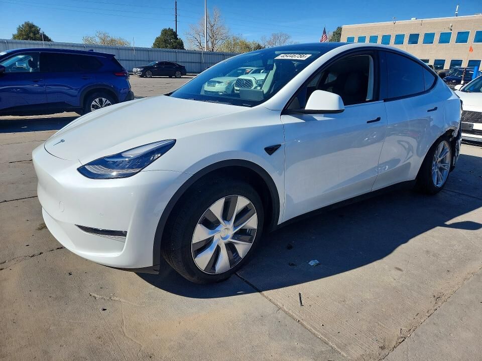 2020 TESLA Model Y