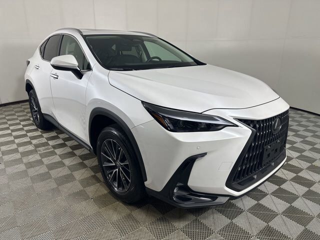 2024 LEXUS NX
