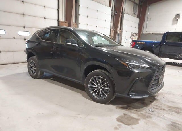 2025 LEXUS NX