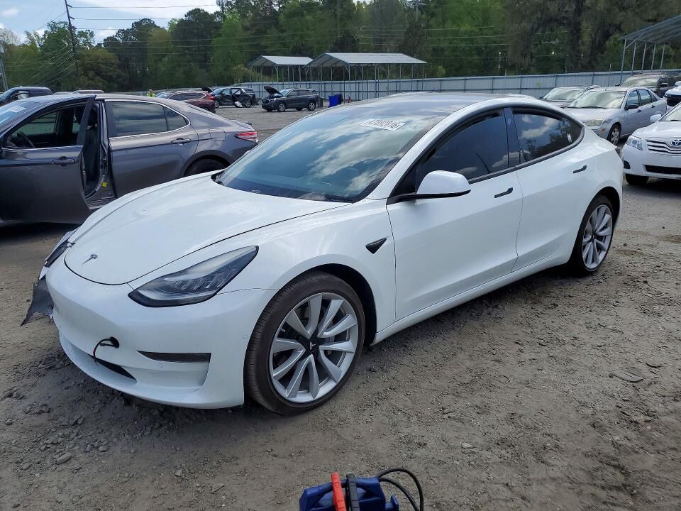 2019 TESLA Model 3