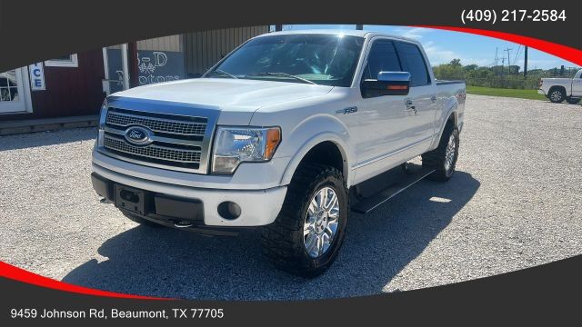 2010 FORD F-150