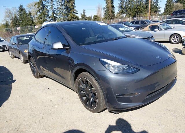 2020 TESLA Model Y