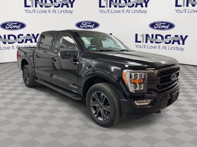 2023 FORD F-150
