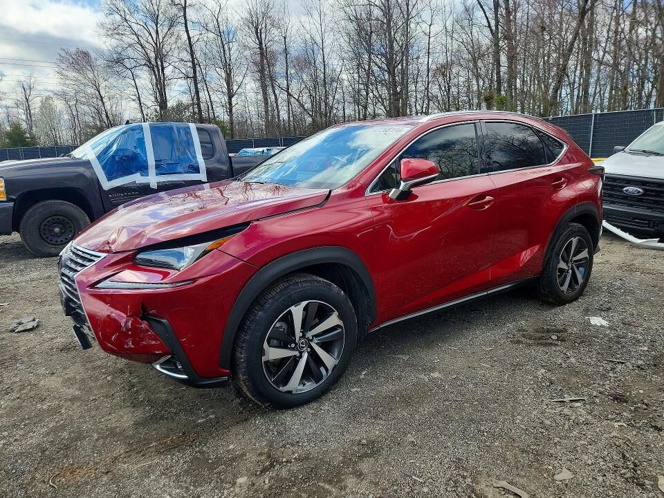 2020 LEXUS NX