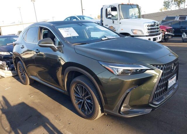 2024 LEXUS NX