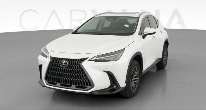 2024 LEXUS NX