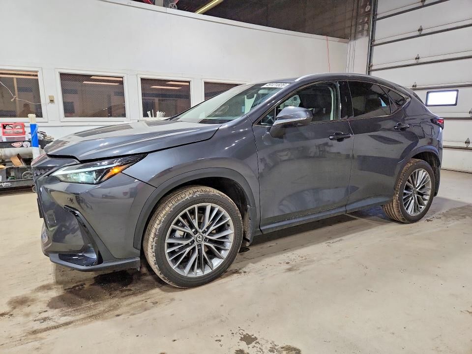 2026 LEXUS NX