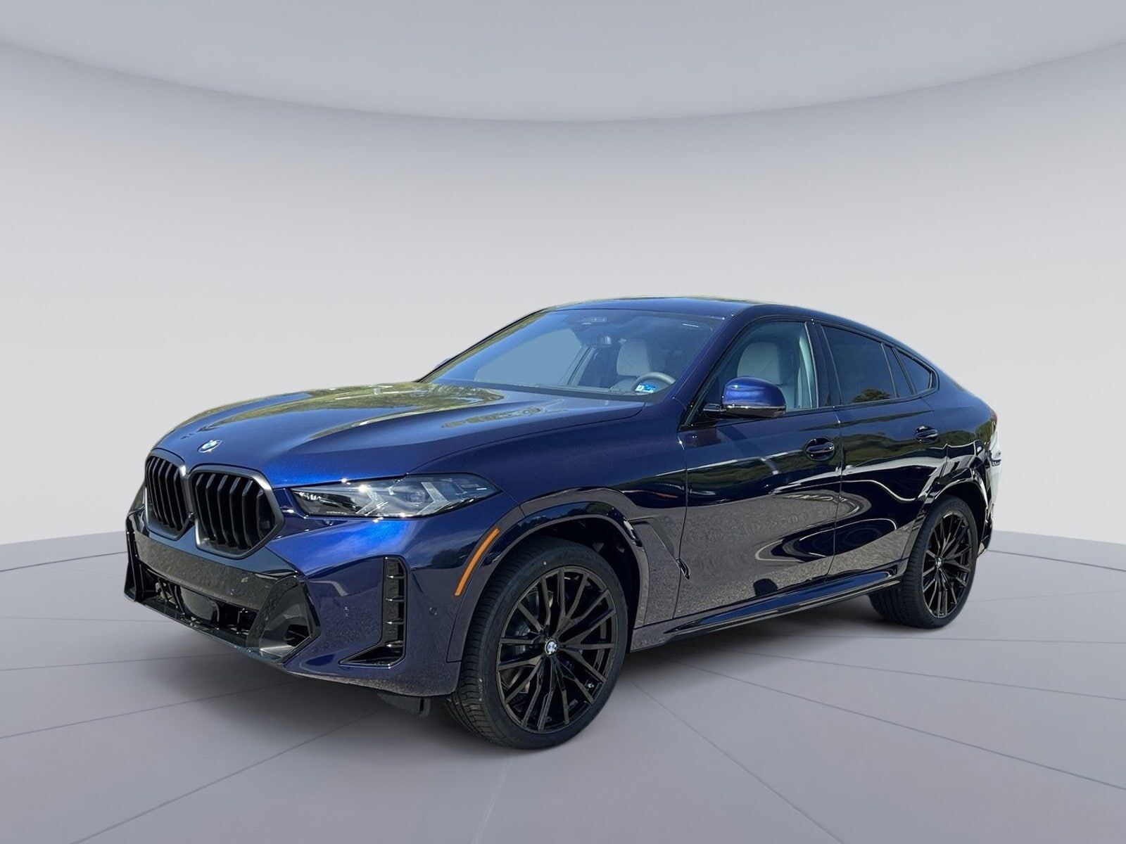2026 BMW X6