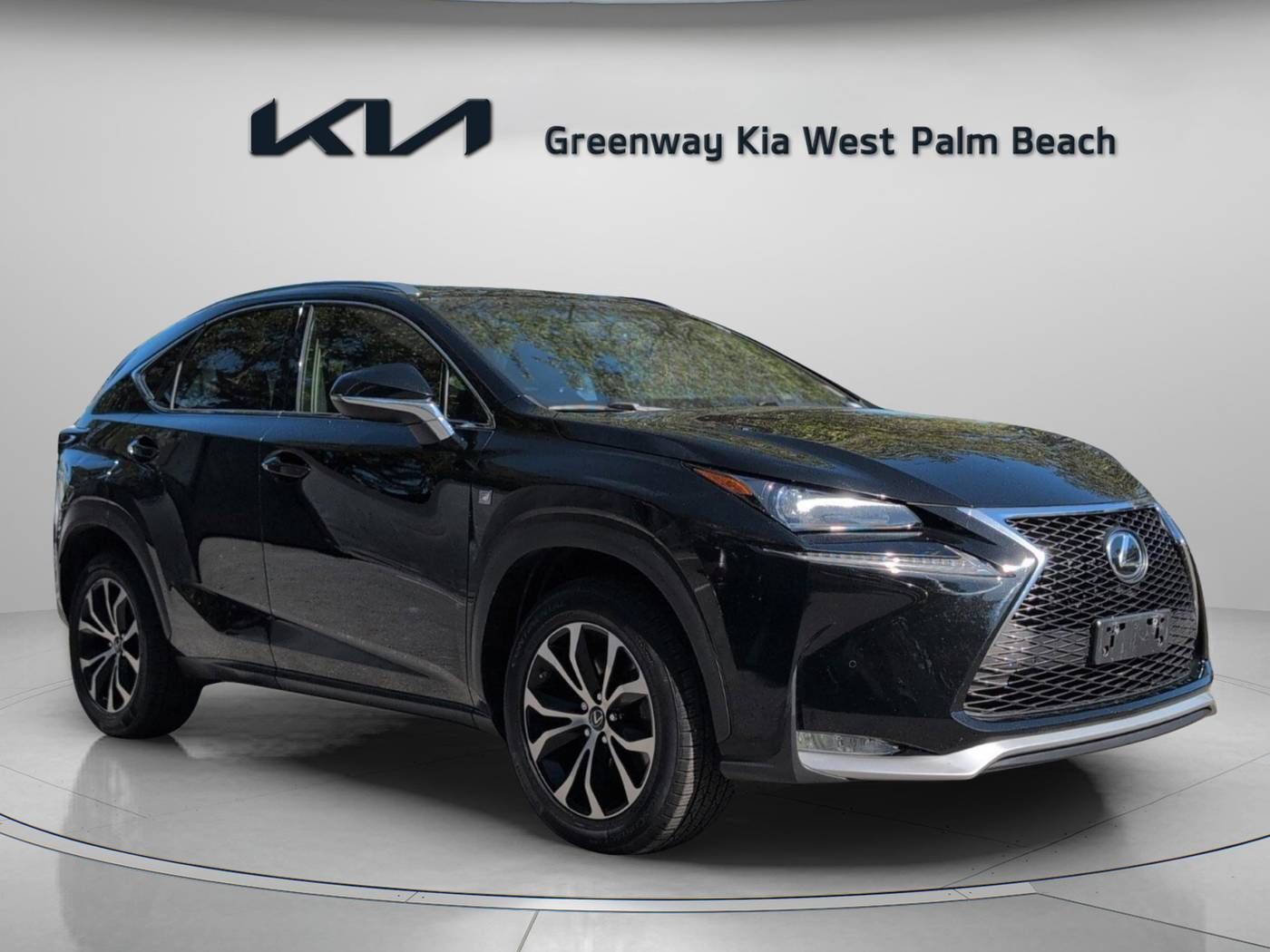 2015 LEXUS NX