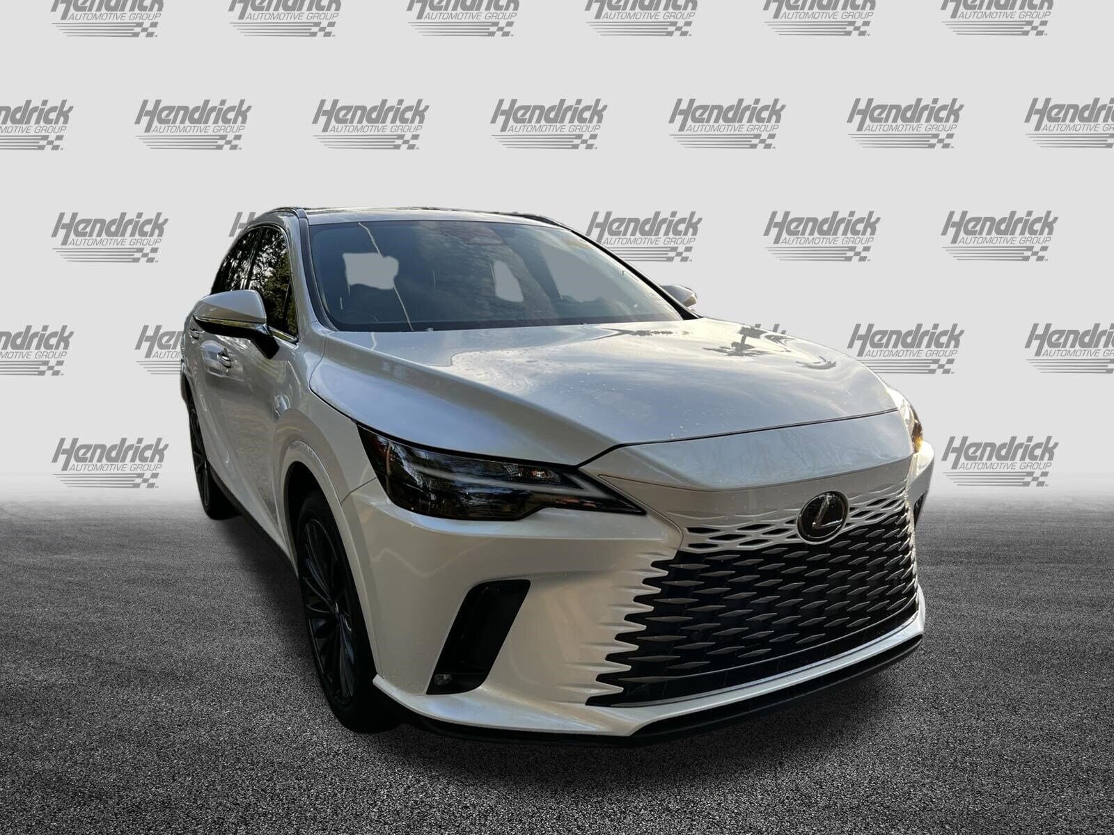 2024 LEXUS RX
