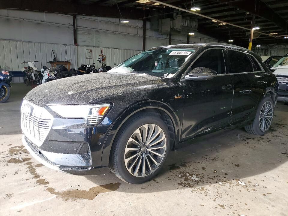 2019 AUDI e-tron