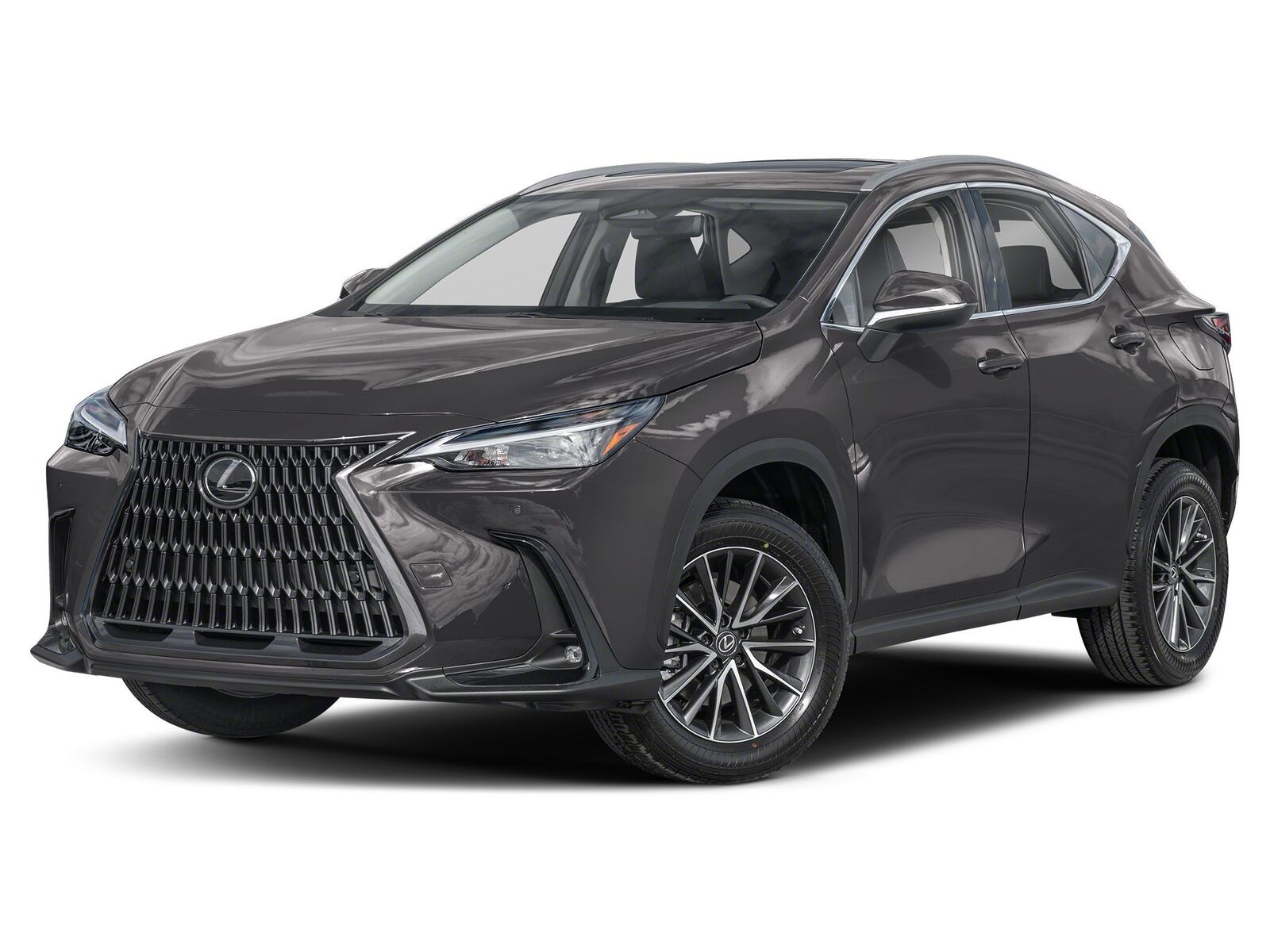 2025 LEXUS NX