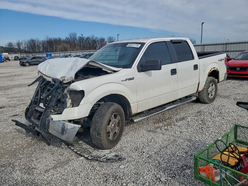 2010 FORD F-150