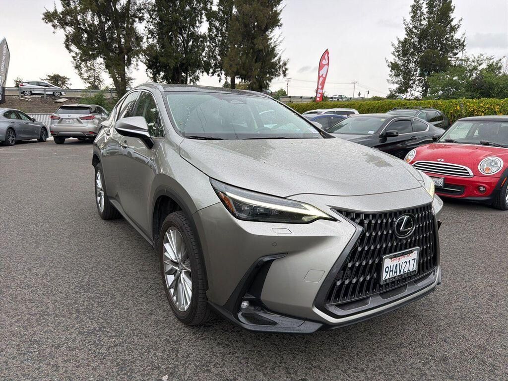2024 LEXUS NX