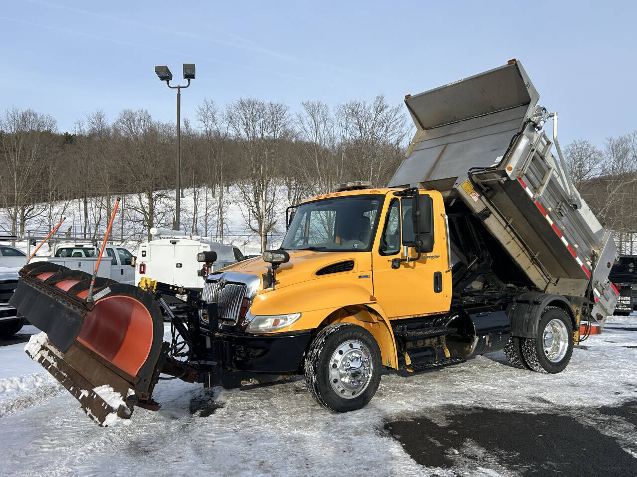 2010 INTERNATIONAL MA065